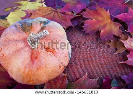Autumn border from  pumpkin and colorful autumn leaves on the ca