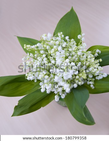 Bouquet of lily of the valley.  Spring flowers.