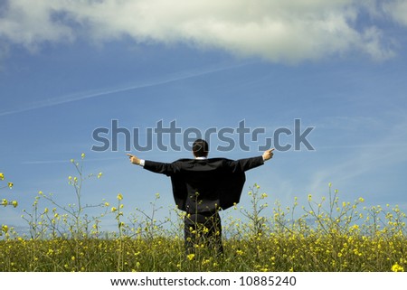 Businessman with his arms outstretched on a field with a blue sky