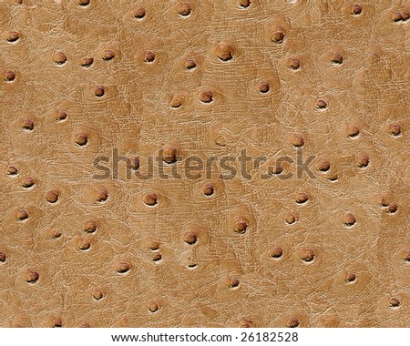 Elephant skin seamless background. (See more seamless backgrounds in my portfolio).