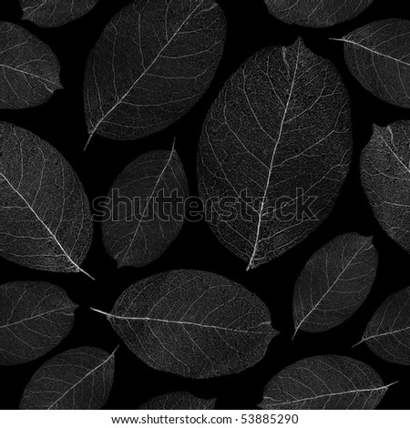 Seamless pattern - white dried leafs on black background - seamless background for continuous replicate.