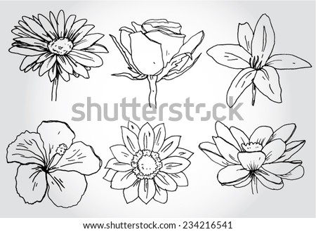 Set Of Hand Drawn Flowers Stock Vector 234216541 : Shutterstock