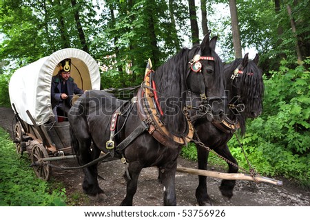 RATIBORICE, CZECH REPUBLIC - MAY 22: Imperial maneuvers - Reconstruction of historic event, covered wagon with horses on way to battlefield, May 22, 2010 in Ratiborice, Czech Republic