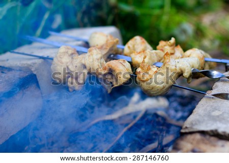 chicken meat on a smoking grill outdoor
