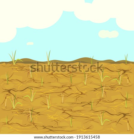 Arid - vector of dried fields rice.