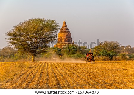 BAGAN, MYANMAR - FEBRUARY 23: Tourist taking cart ride to watch the sunset on the ancient pagoda on February 23, 2013 in Bagan, Myanmar.
