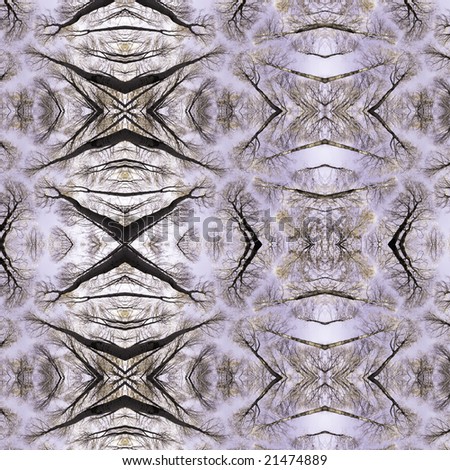 Kaleidoscope made of trees and tree trunks with digital effect added.