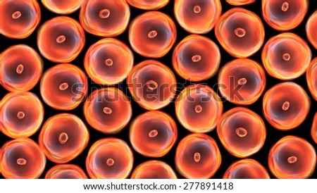 Abstract illustration of cells in mitosis and multiplication of cells for beauty and biology concept