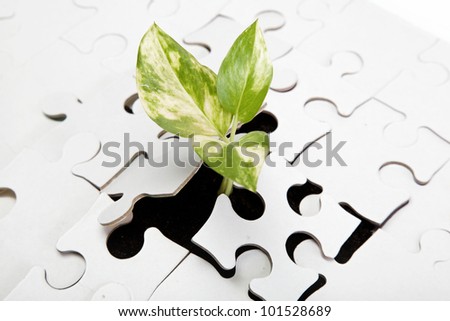 Green sprout from the earth makes its way through the puzzle.