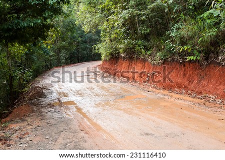 Winding dirt road in the forest