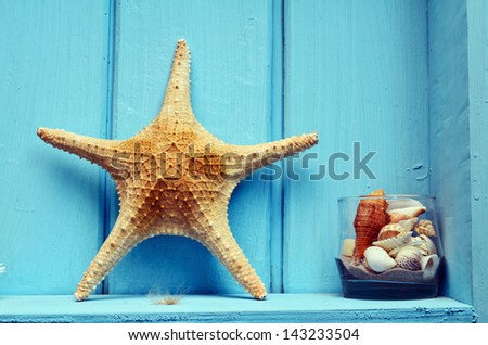Blue wall decoration with shellfish, beach style decoration