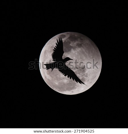 Birds fly over the moon, success concept
