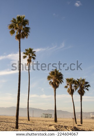 California Summer - Santa Monica Beach