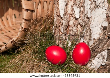 Red egg in the grass, near a log-selective focus on the egg.