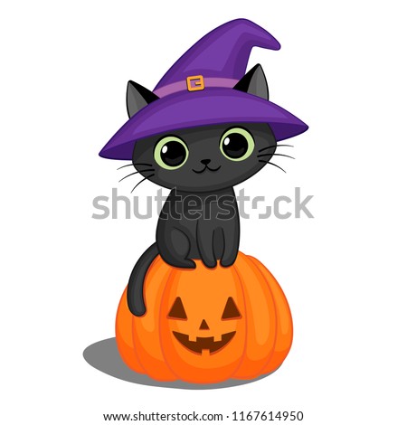 Cute black cat in a witch hat sitting on a Halloween pumpkin