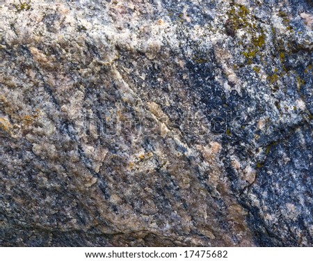 Fragment of granite rock. Moss visible.