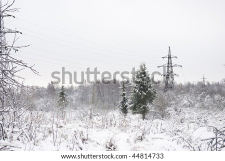 Winter landscape. Fur-trees grow. Fresh snow lies thick layer. Near small city