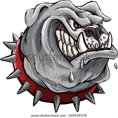 Furious Bulldog. Gray Furious Bulldog Isolated On White Background ...