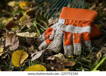 work gloves with a rake in the background