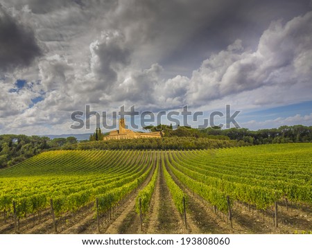 Fall vineyards in Tuscany, Italy