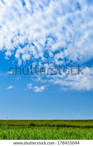 Green grassfield and big blue sky with clouds