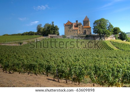 Chateau de Pierreclos among vineyards in Burgundy, France Imagine de stoc © 