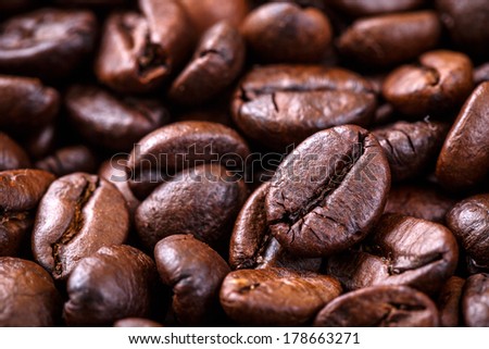 a lot of coffee seed