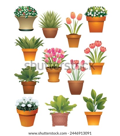 Set of Potted Plants and Flowers