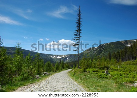Steep road to mountain