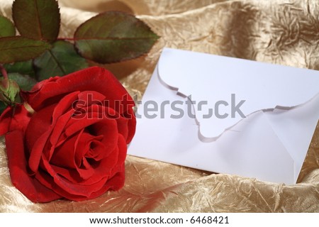 Red rose and blank card