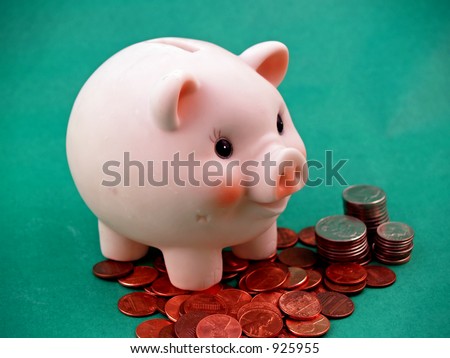 Pink pig with coins