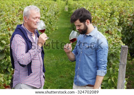 Portrait of winemakers smelling a glass of red wine at vineyard. Senior owner of vinery and young professional man tasting red wine and working together. Small business.