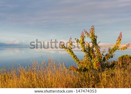 View onto the Lake Pukaki on the South Island of New New Zealand. Picture taken from the South end of the lake.