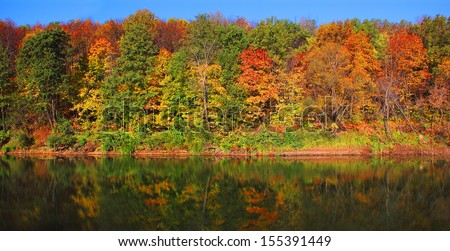 Ã?Â�Ã?Â°utumn forest on the bank of the river and its reflection in the water