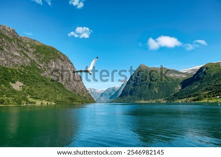 Similar – Foto Bild Stardalen, Skei I Jolster, Jostedalsbreen National Park, Norwegen. Beautiful Sky After Rain With Rainbow Above Norwegian Rural Landscape. Landwirtschaft und Wettervorhersage Konzept