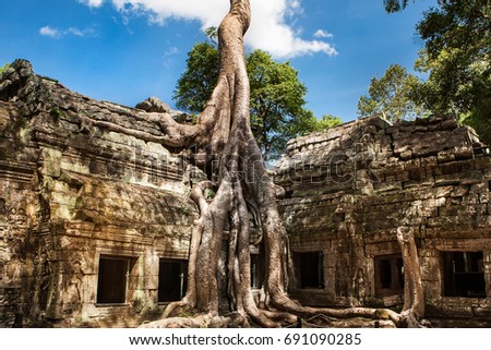 Similar – Foto Bild Baum in Ta Phrom, Angkor Wat, Kambodscha.