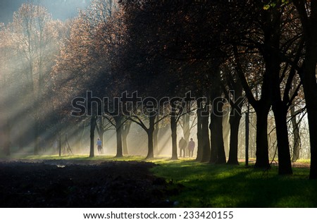 An elderly couple walking through a sun ray lit park path with a woman running before them. The path is surrounded  by a beautiful avenue of trees.