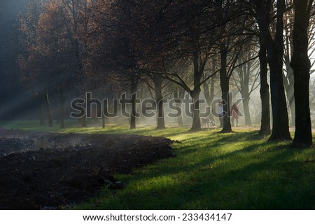 People walking a dog along a gravel path with the sun rays shining through the misty fog that lingers between a beautiful avenue of trees near a field.