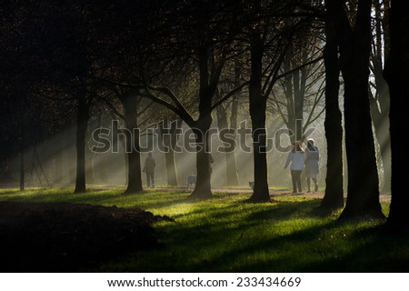 People walking along a gravel path with the sun rays shining through the misty fog that lingers between a beautiful avenue of trees near a field.