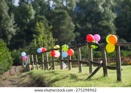Balloons tied down to a fence in the garden.