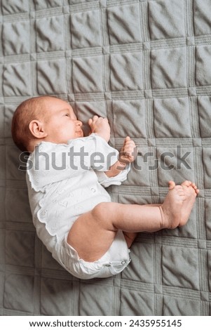 Similar – Image, Stock Photo Surprised newborn girl while relax in her hammock