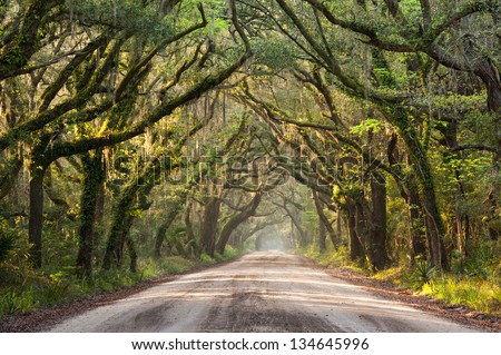 Charleston Botany Bay Road Edisto Island Lowcountry South Carolina ...