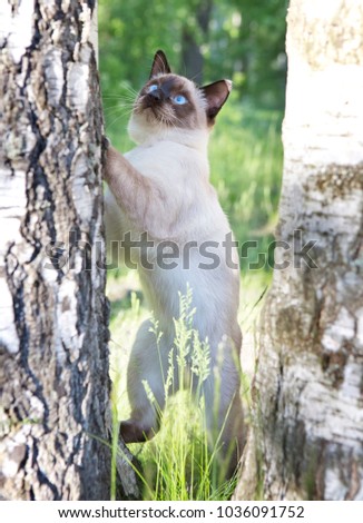 Shutterstock Puzzlepix