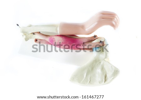anatomical model of a human hand isolated on white background