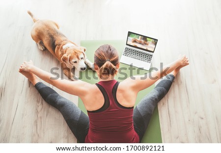 Top view at fit sporty healthy woman sit on mat in Upavistha Konasana pose, doing breathing exercises, watching online yoga class on laptop computer. Her beagle dog keeping company next on the floor. 商業照片 © 