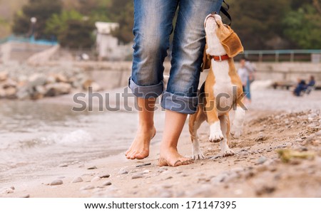 Similar – Image, Stock Photo Cute dog near sea beach