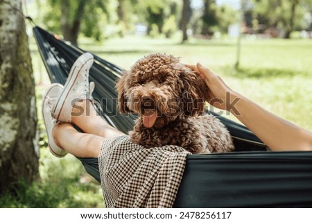 Similar – Image, Stock Photo #AS# relaxing days relaxed