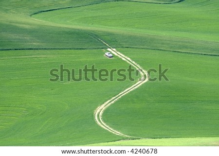 S-shaped road in a grain field on a farm in the Palouse region of eastern Washington.