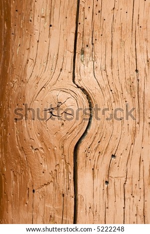 Wood grain of a post supporting a porch roof of a log cabin made from a tree trunk.
