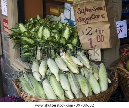 Corn for sale in a basket at a market in Greenwich Village in New York City.